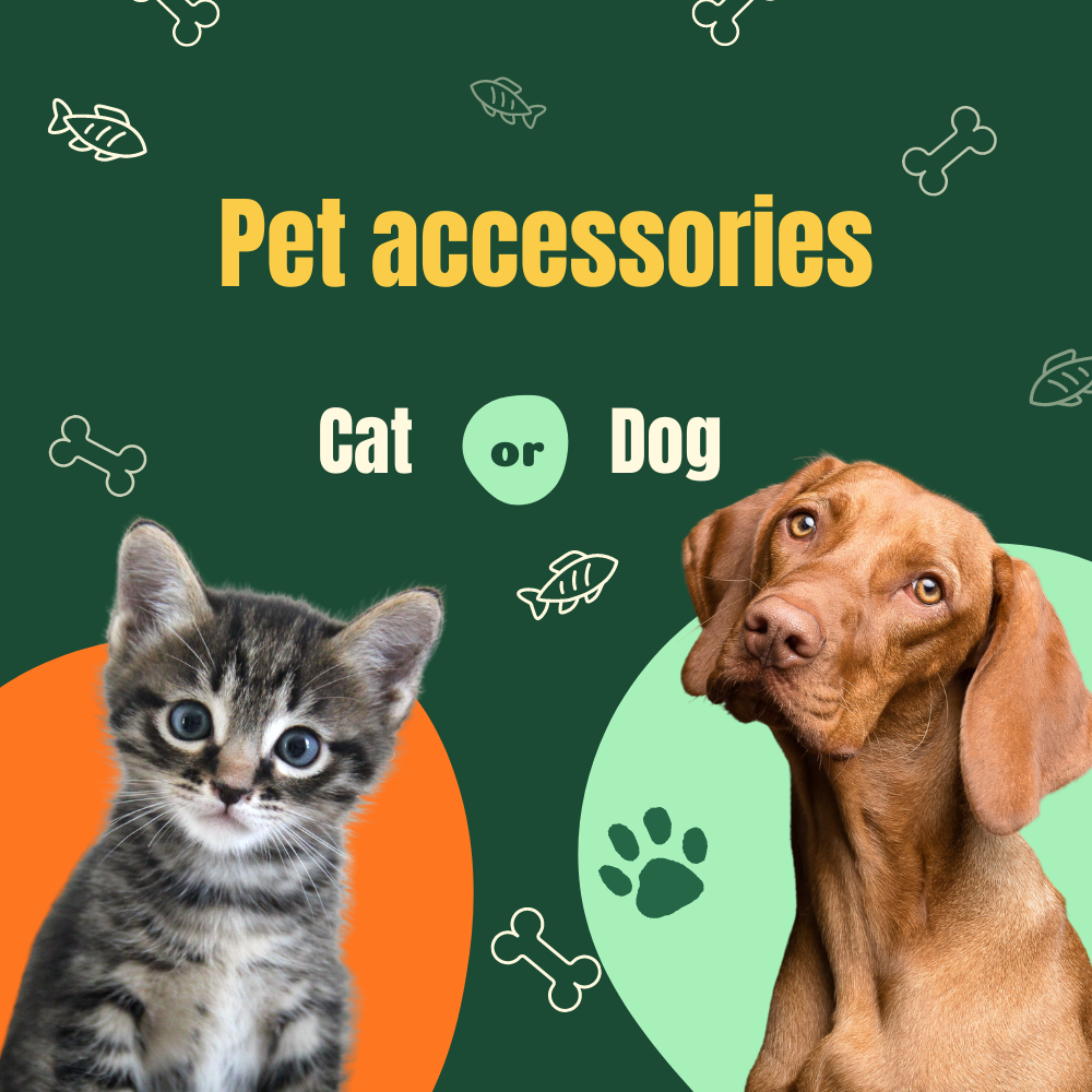 Pet Accessories